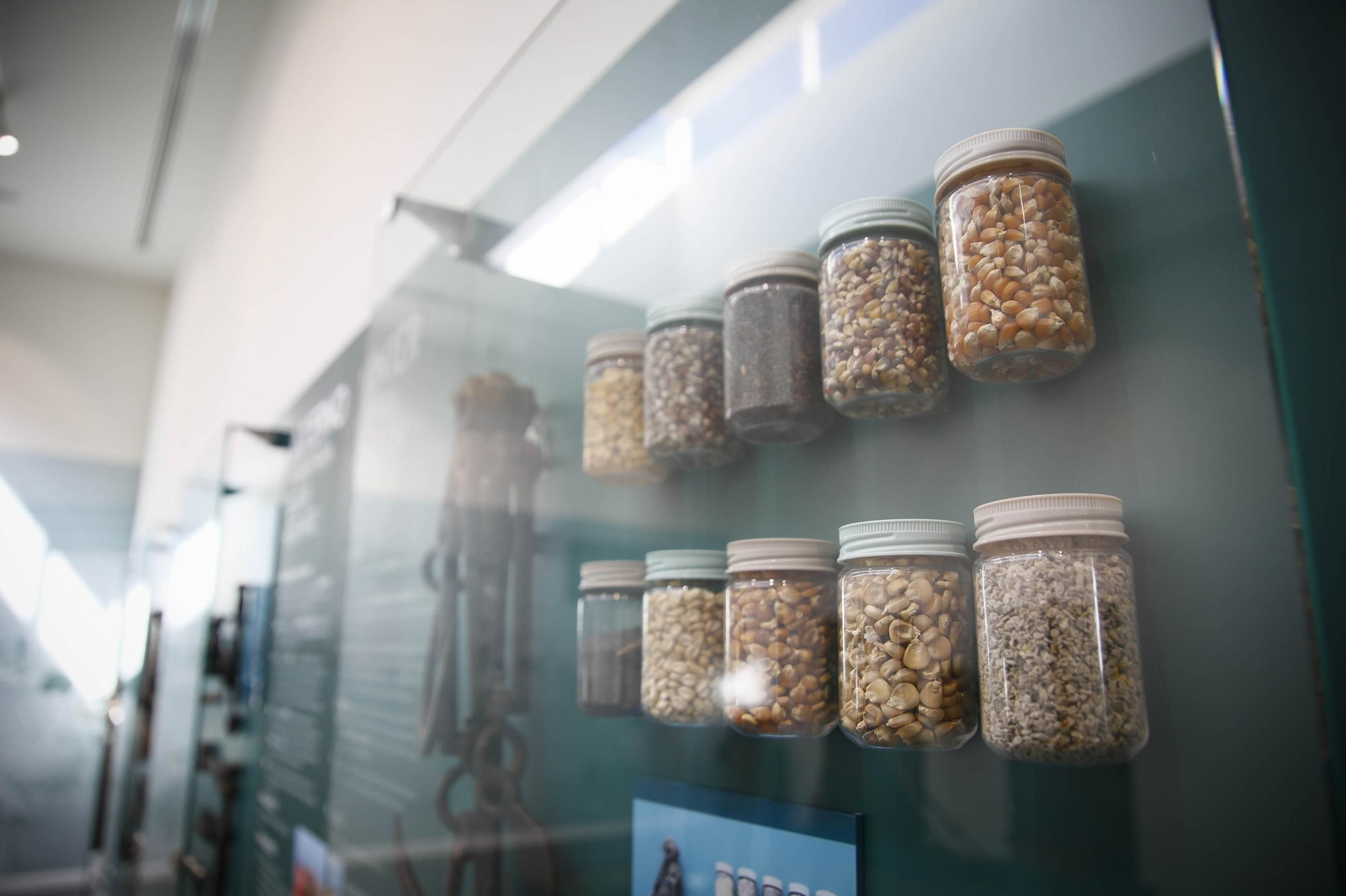 Las mejores imágenes de la inauguración del Ecomuseo en la Vega de Almería