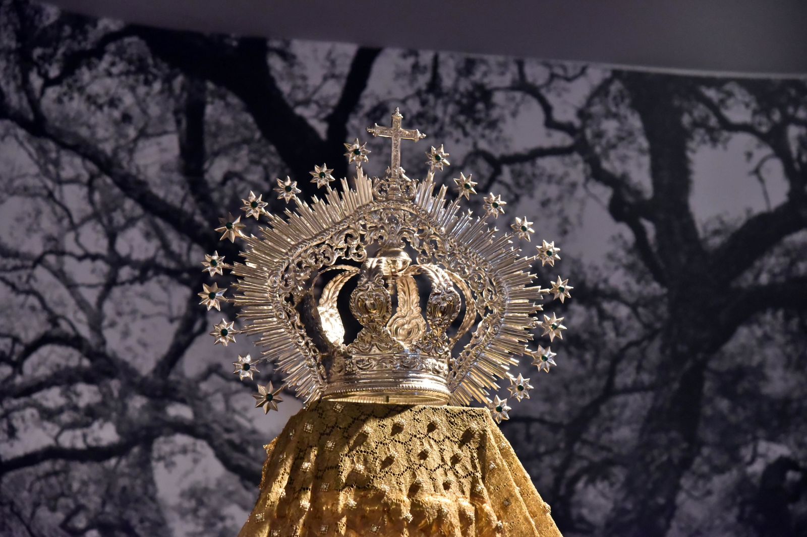 Exposición de la hermandad de Medinaceli