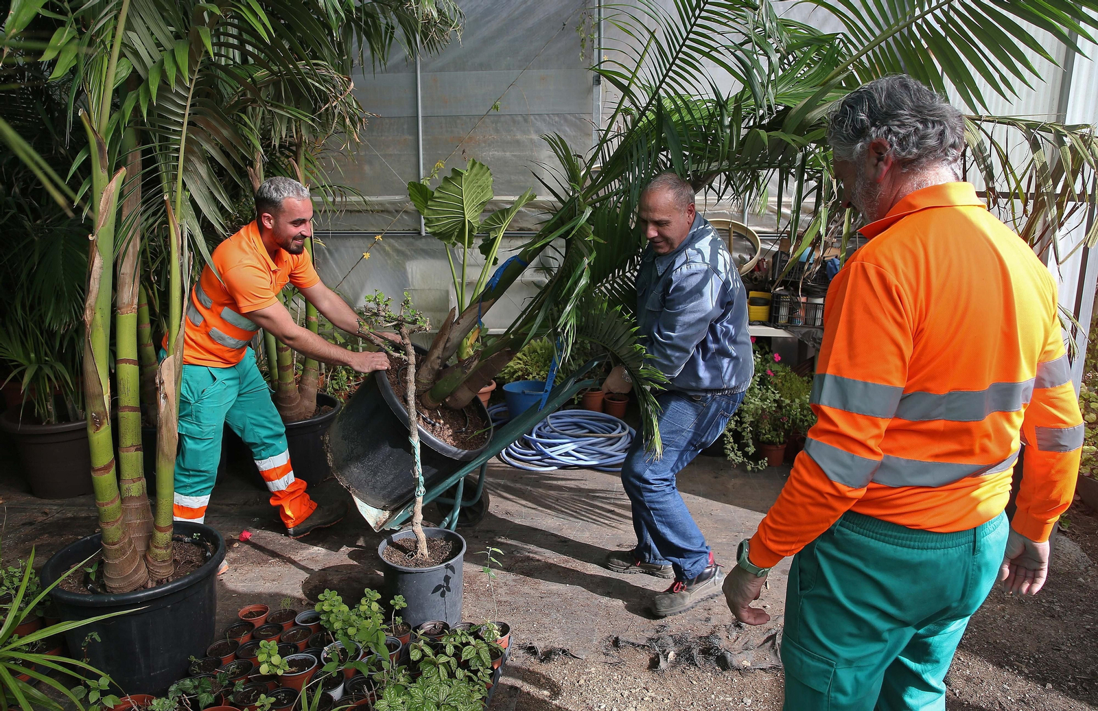 Fotos del vivero municipal de Algeciras