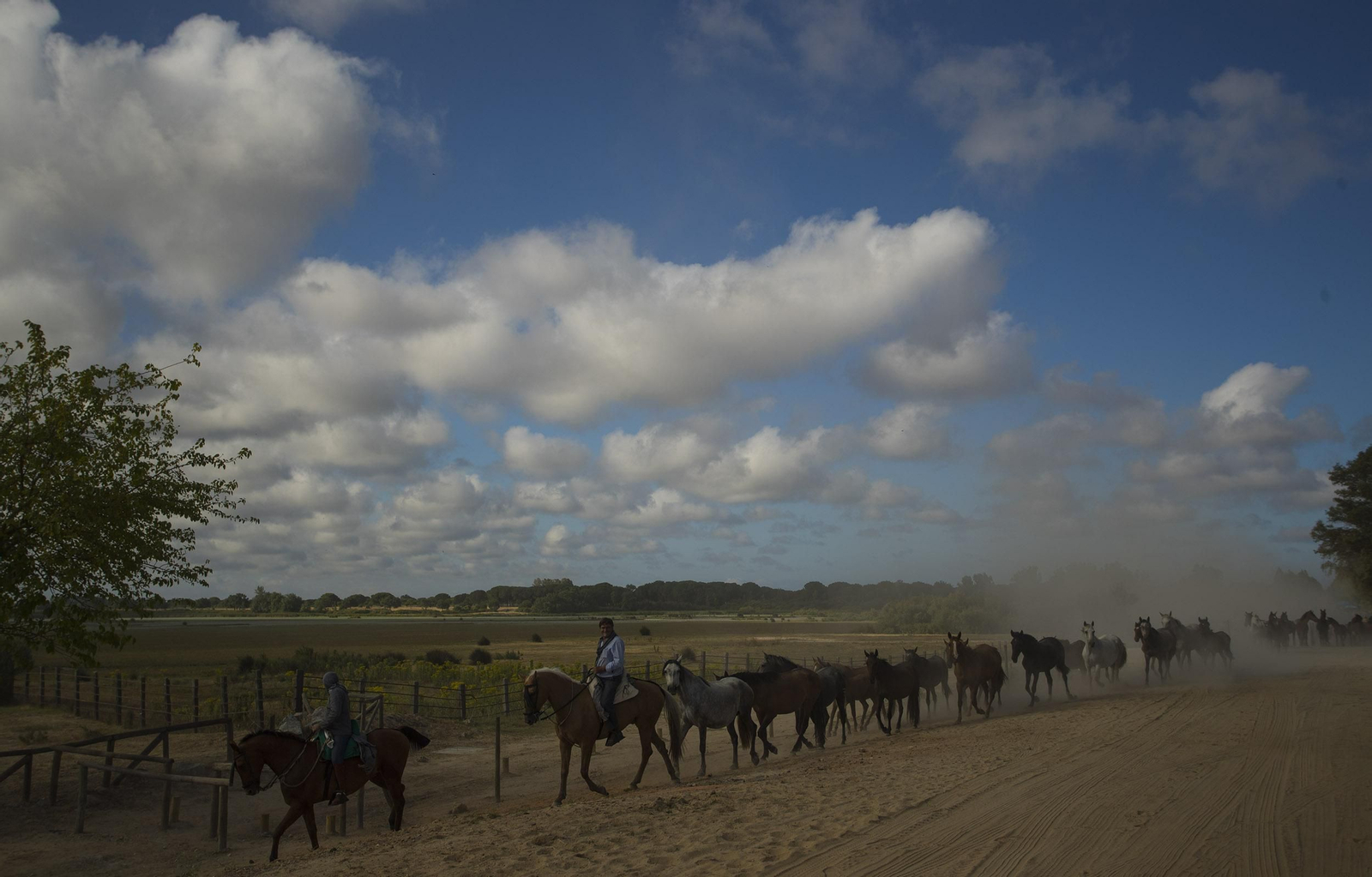 La Saca de las Yeguas, en imágenes