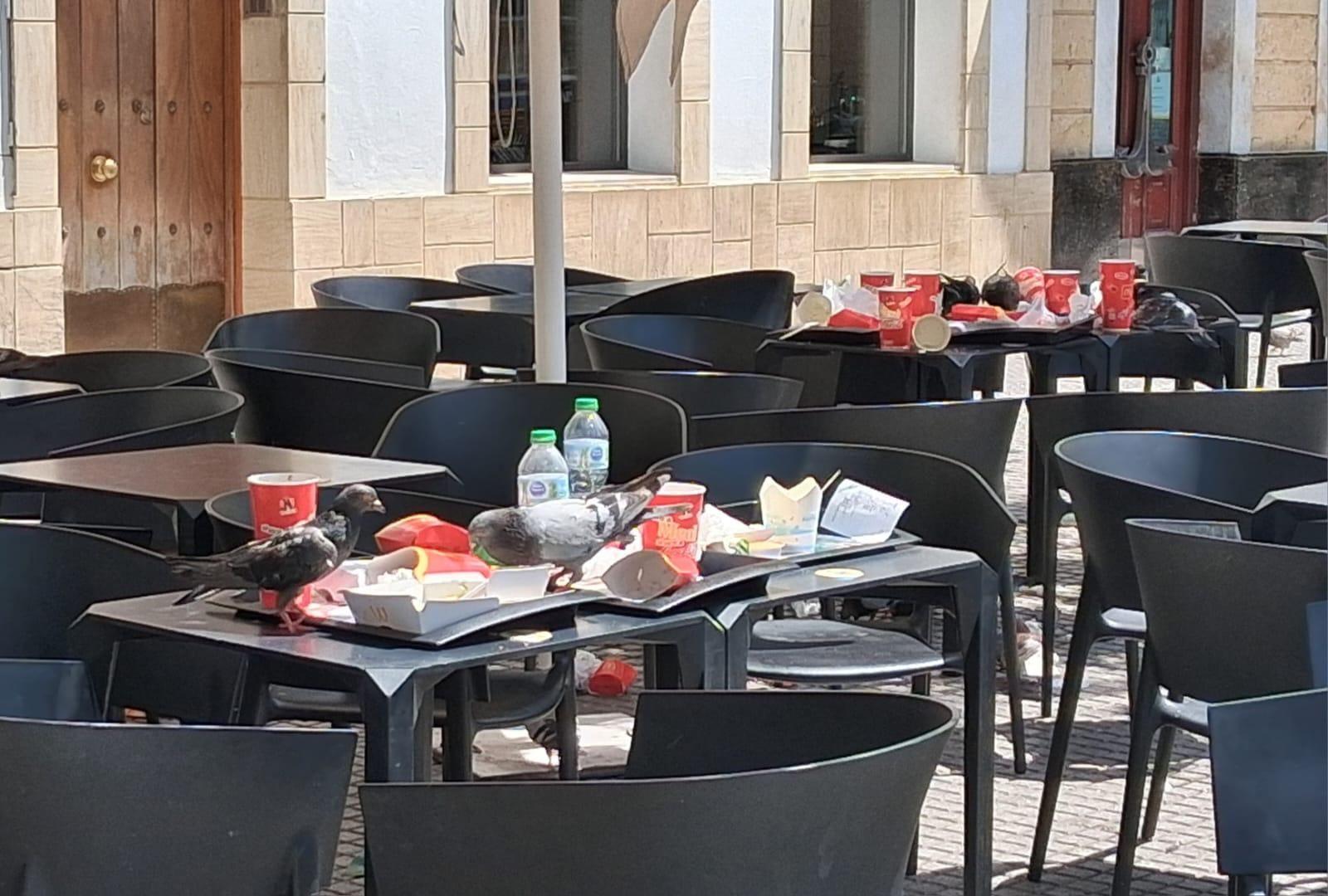 Palomas depredadoras