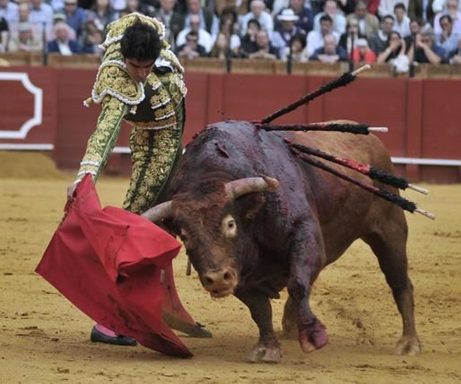 Miguel Ángel Perera toreó al segundo de la tarde.

Foto: Juan Carlos Muñoz