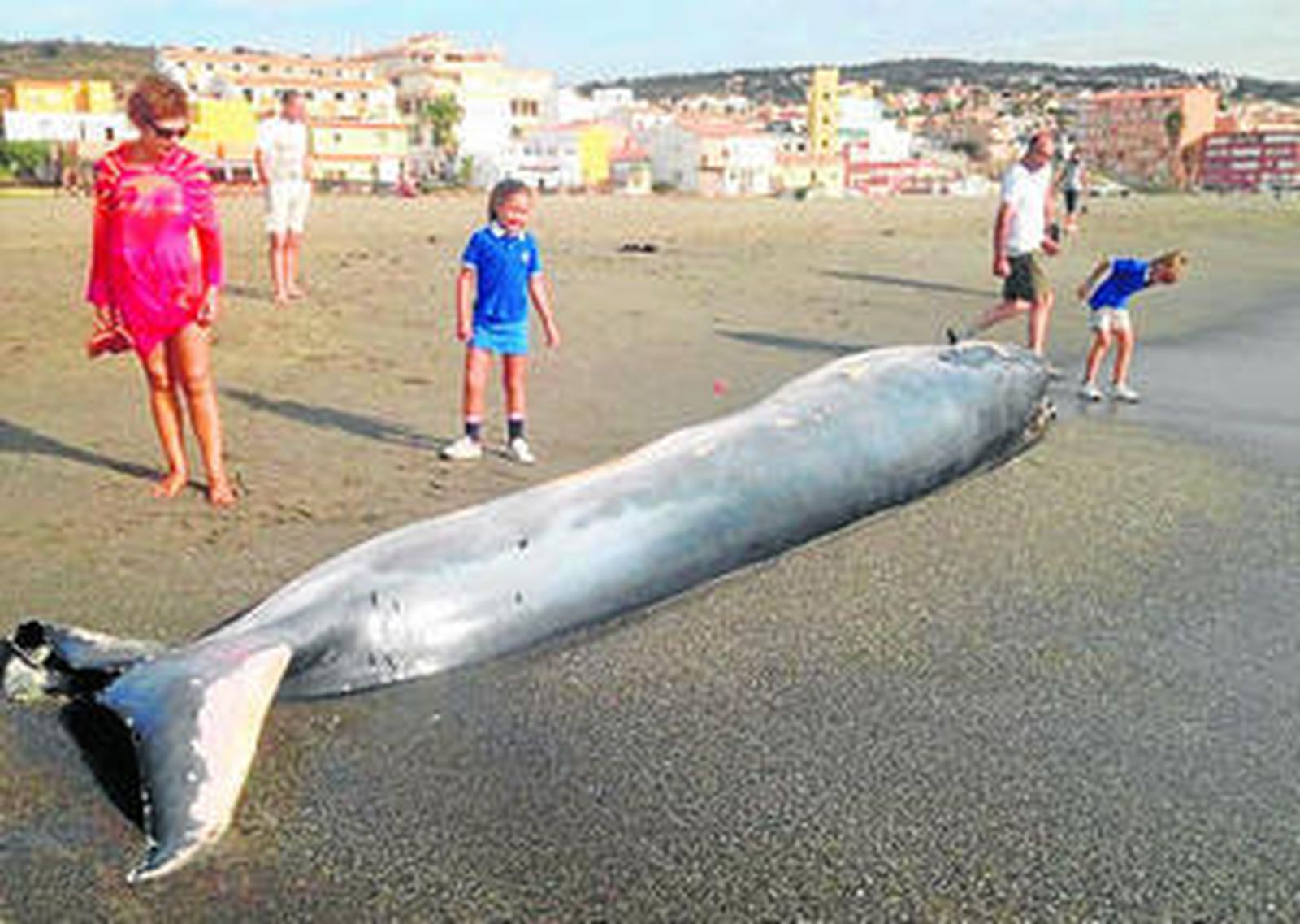 Bañistas observan la ballena varada en la arena, el pasado sábado.