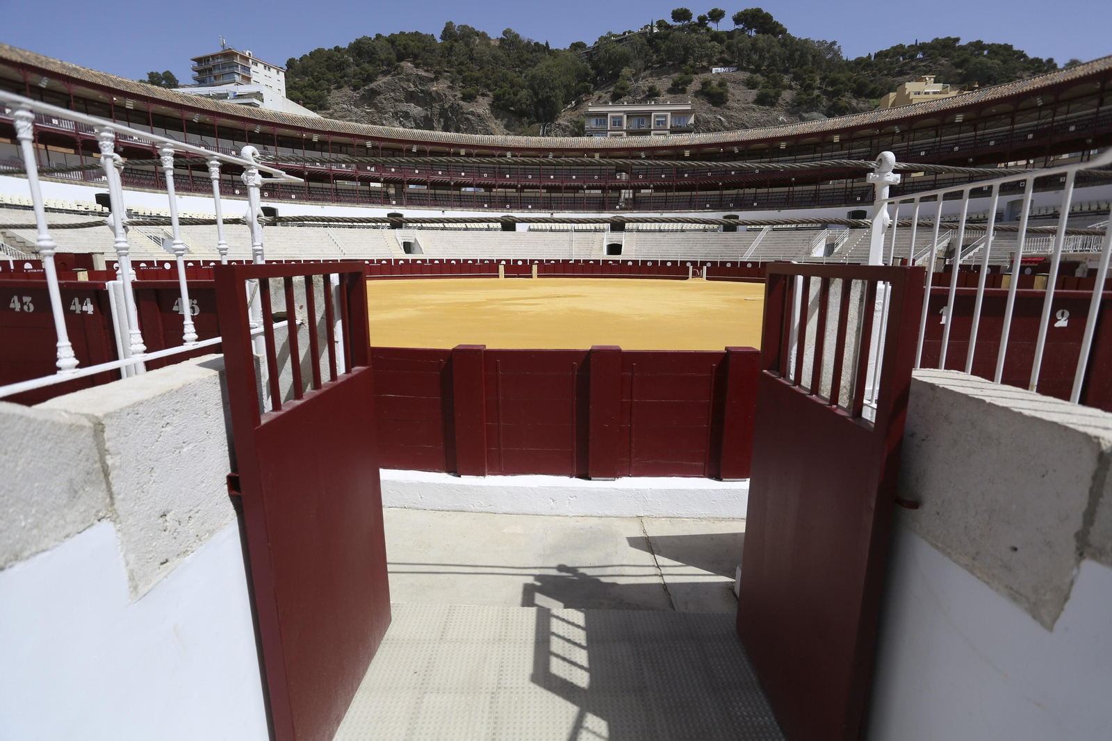 Rehabilitación de la plaza de toros de La Malagueta