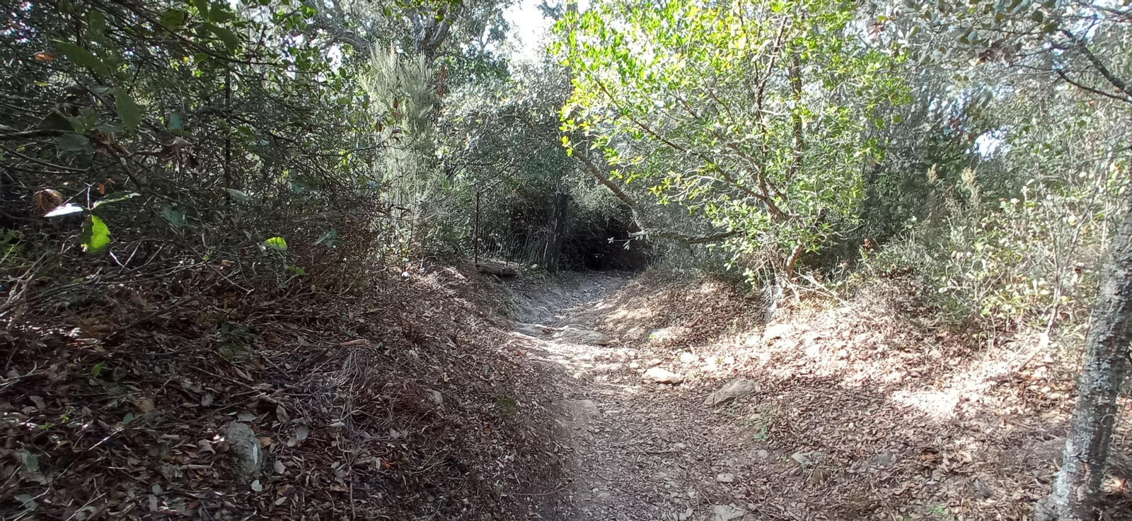 Las imágenes de la ruta de la Dehesa de Valdelama: De Los Marines a Fuenteheridos y vuelta