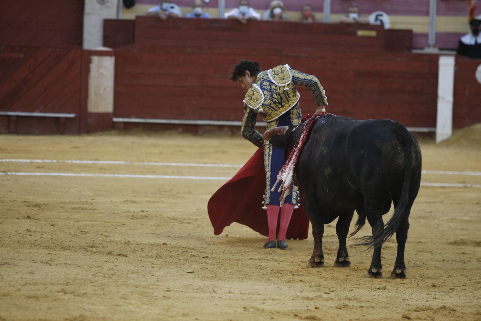 Fotogalería segunda corrida de toros Feria de Almeria 2021