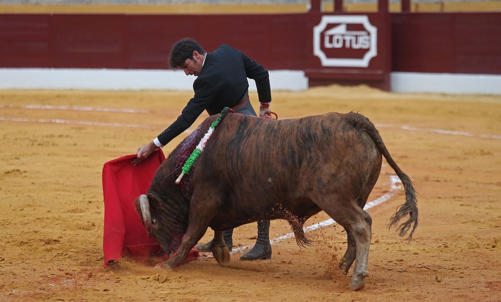 Fotos del festival taurino benéfico en La Línea