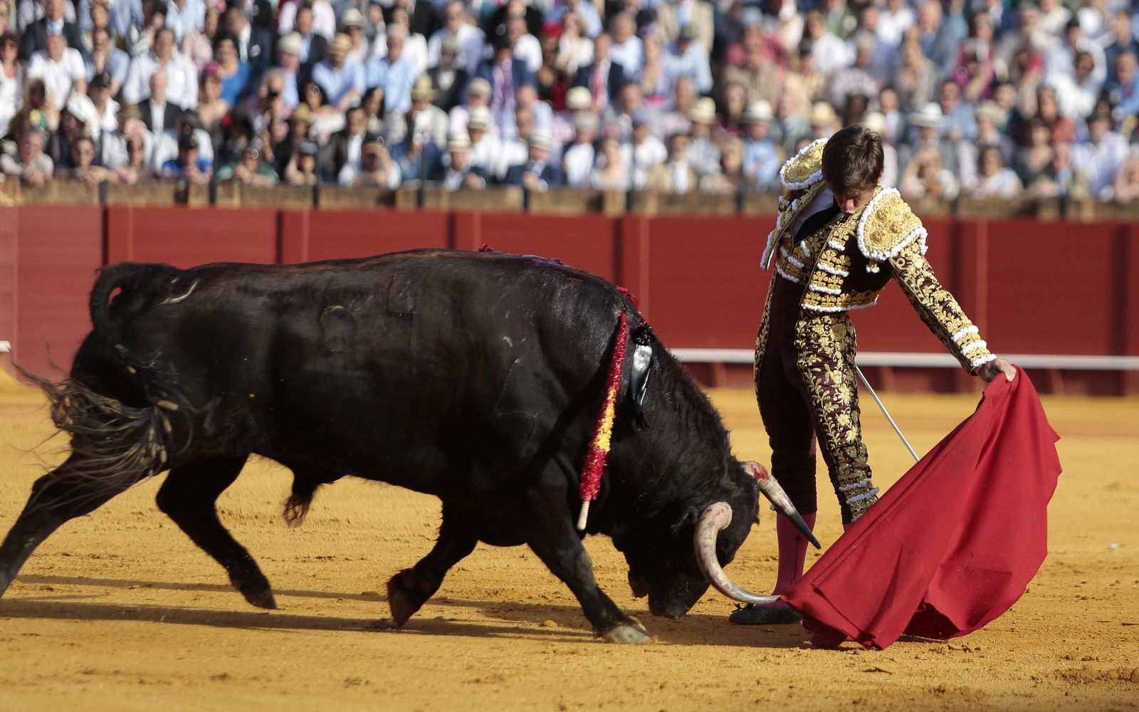 Las imágenes de la undécima de abono de la Maestranza