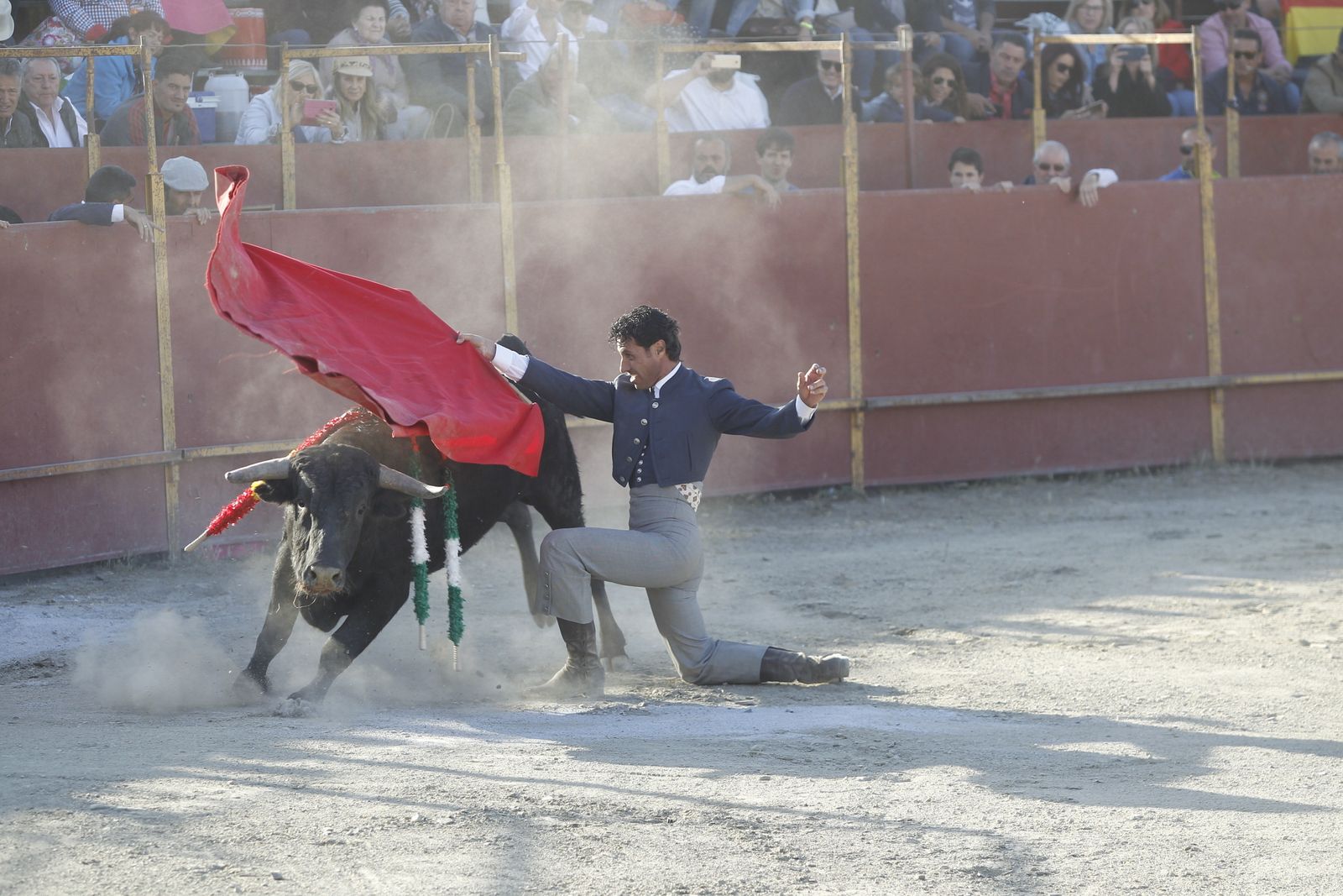 Fotogalería Festival Taurino Mixto. Fiestas de Abrucena.