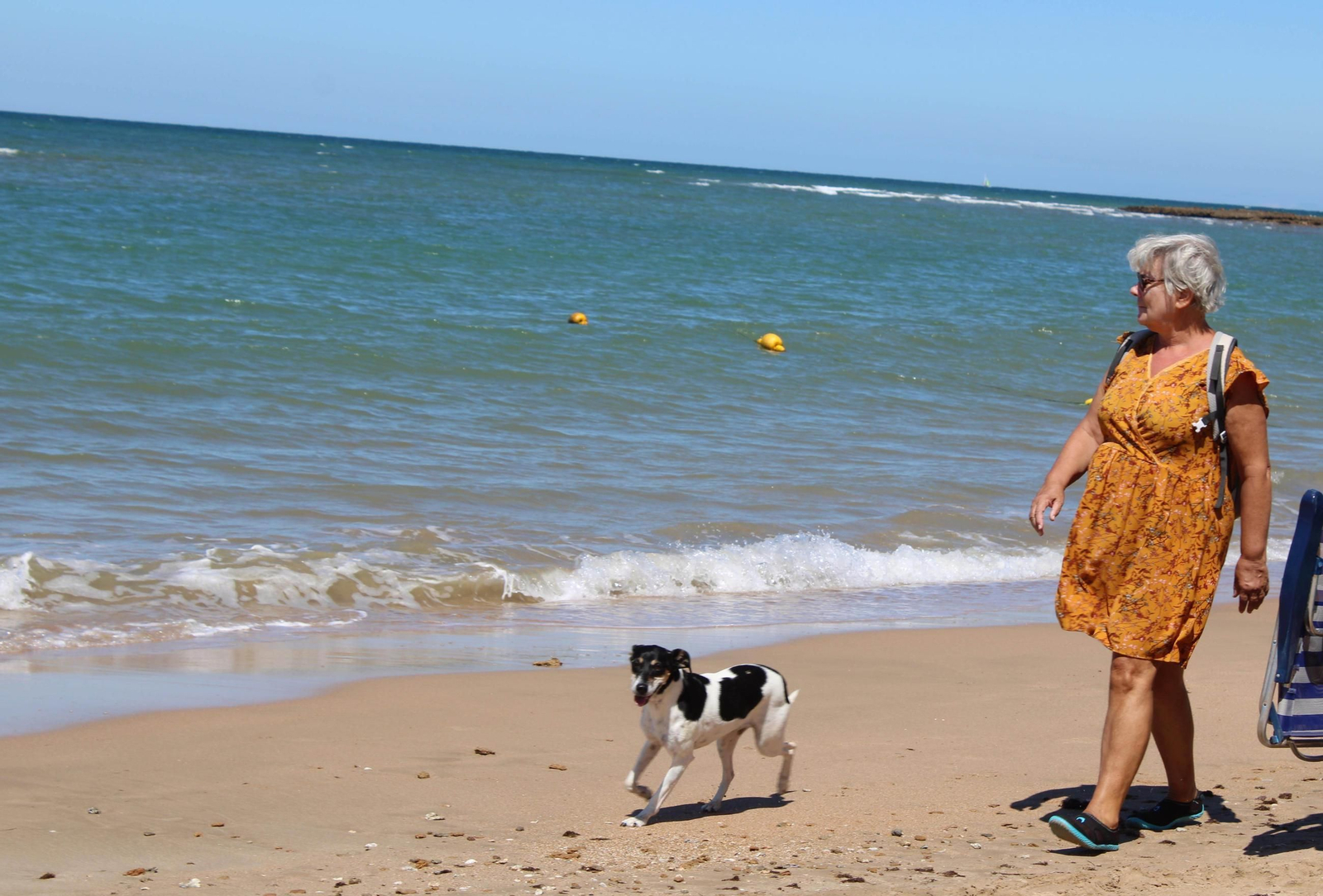Un perro acompañado por la orilla de la playa canina de Rota.