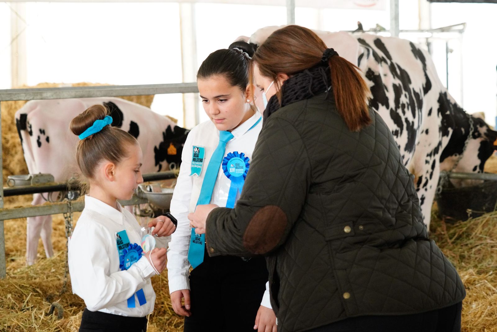 La Feria de Ganado Frisón Usías Holsteins de Dos Torres, en fotografías