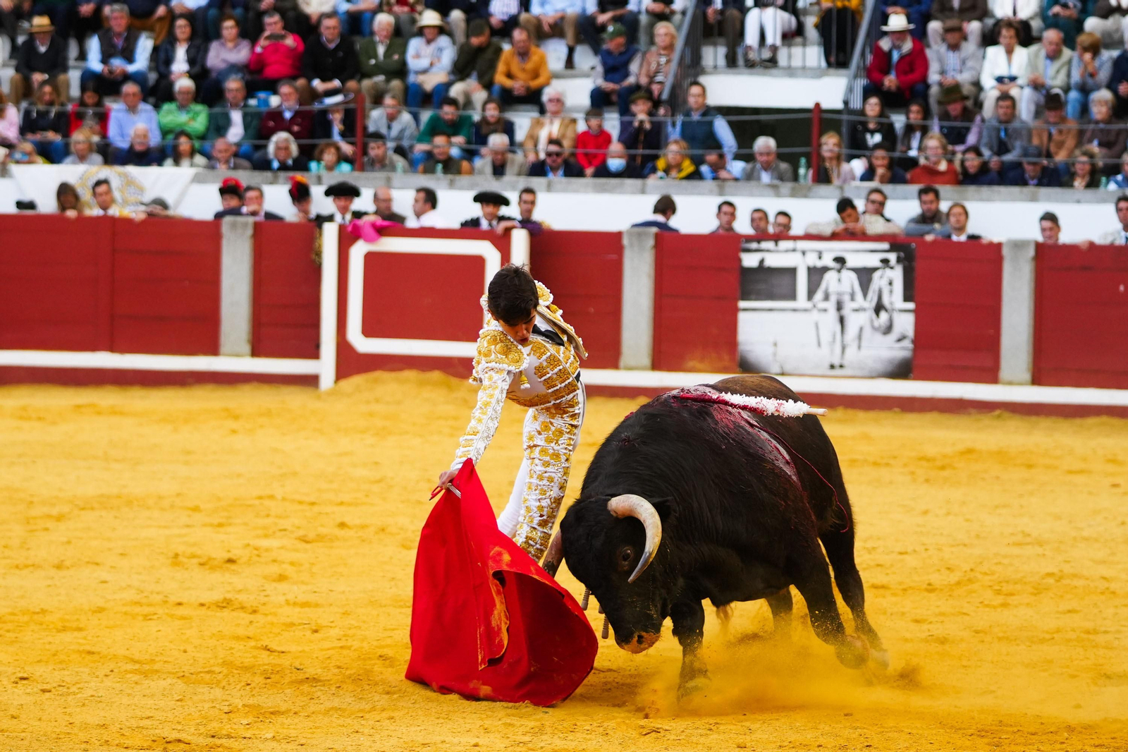 Las mejores imágenes de Manuel Morán, El Fandi y Daniel Luque en Pozoblanco