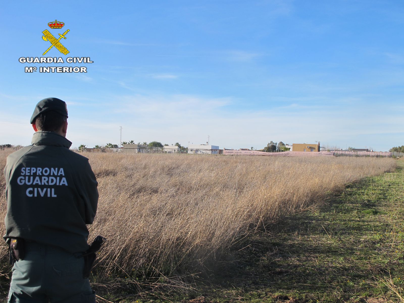 Un guardia civil ante los terrenos en Morón de la Frontera