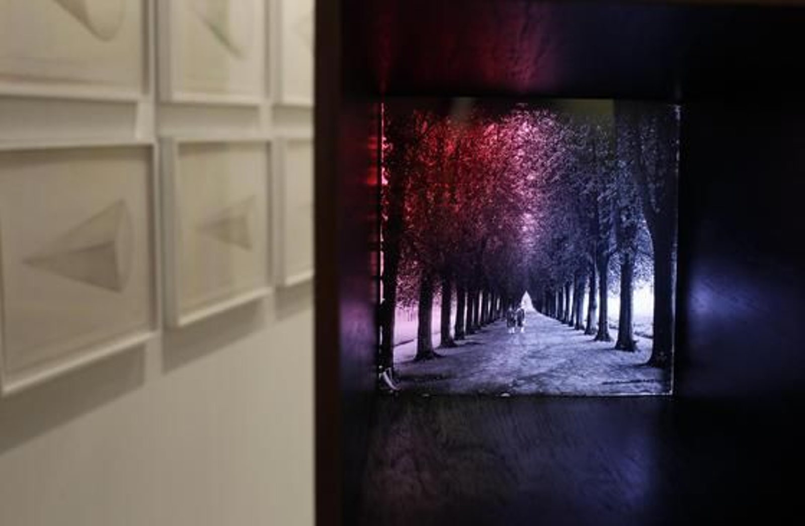 Reportaje gráfico: José Ramón Ladra.