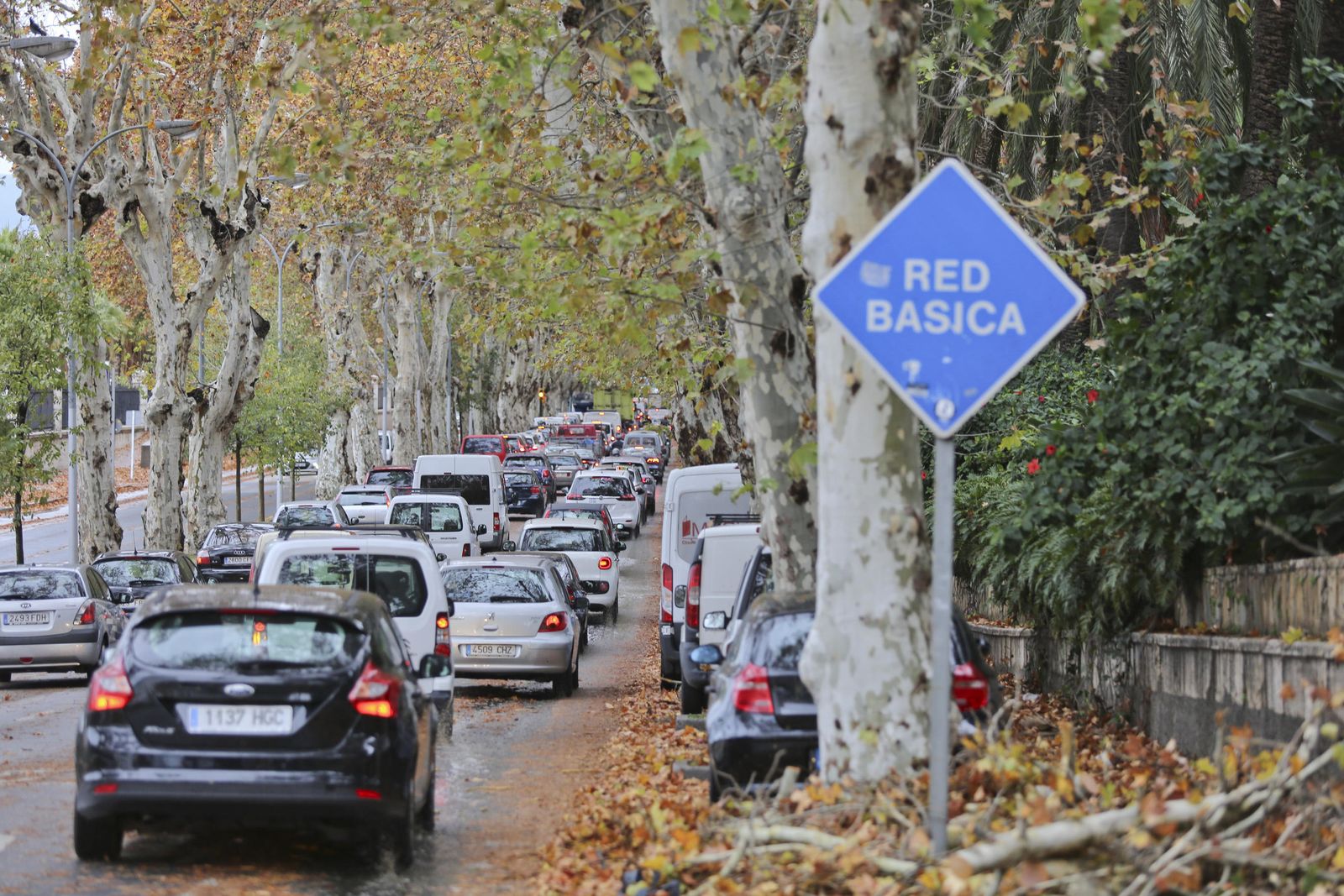 Las consecuencias del paso de 'Ana' por Málaga