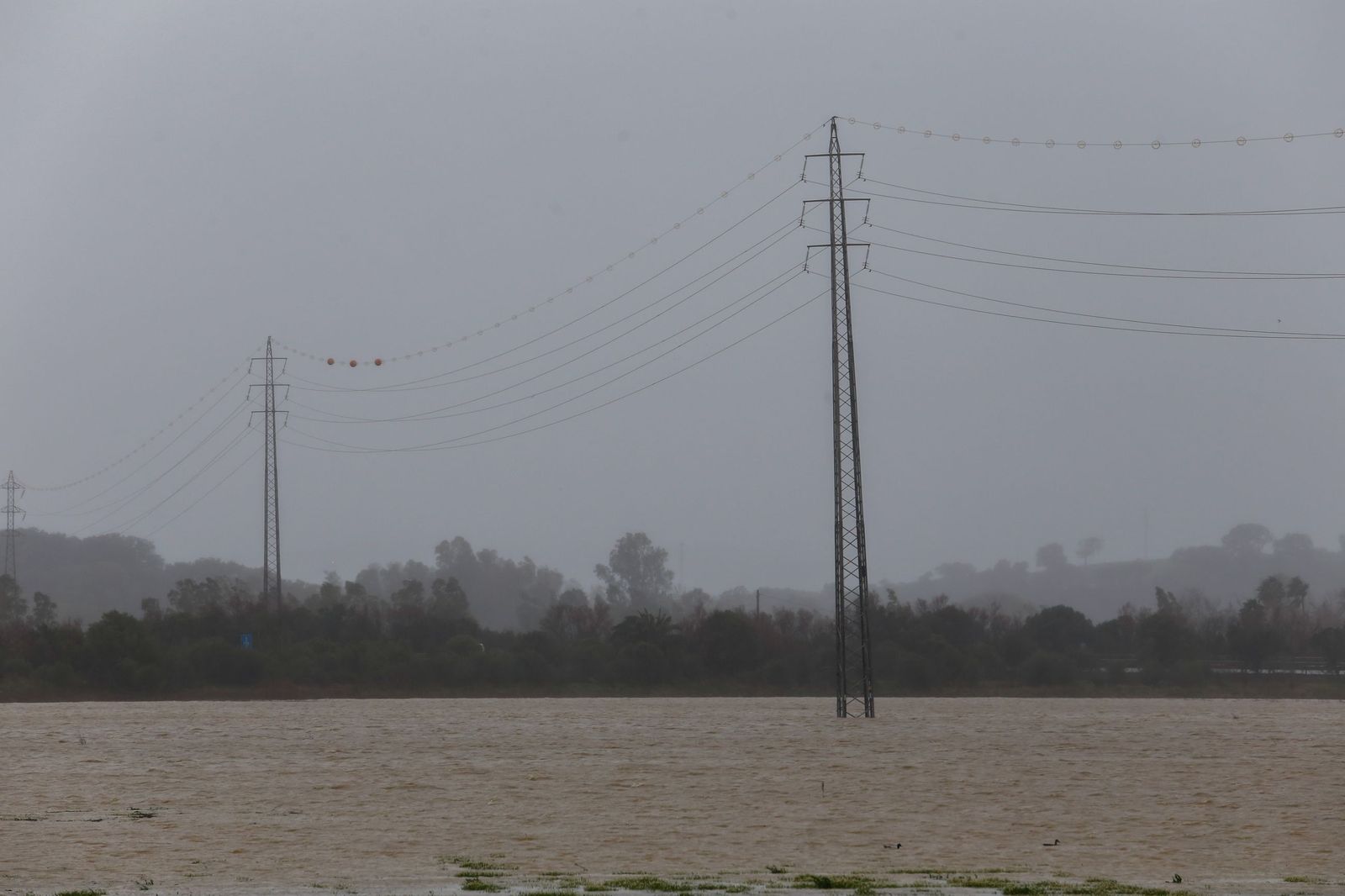 Fotos: Así amaneció el Campo de Gibraltar tras el paso de la borrasca Leonardo