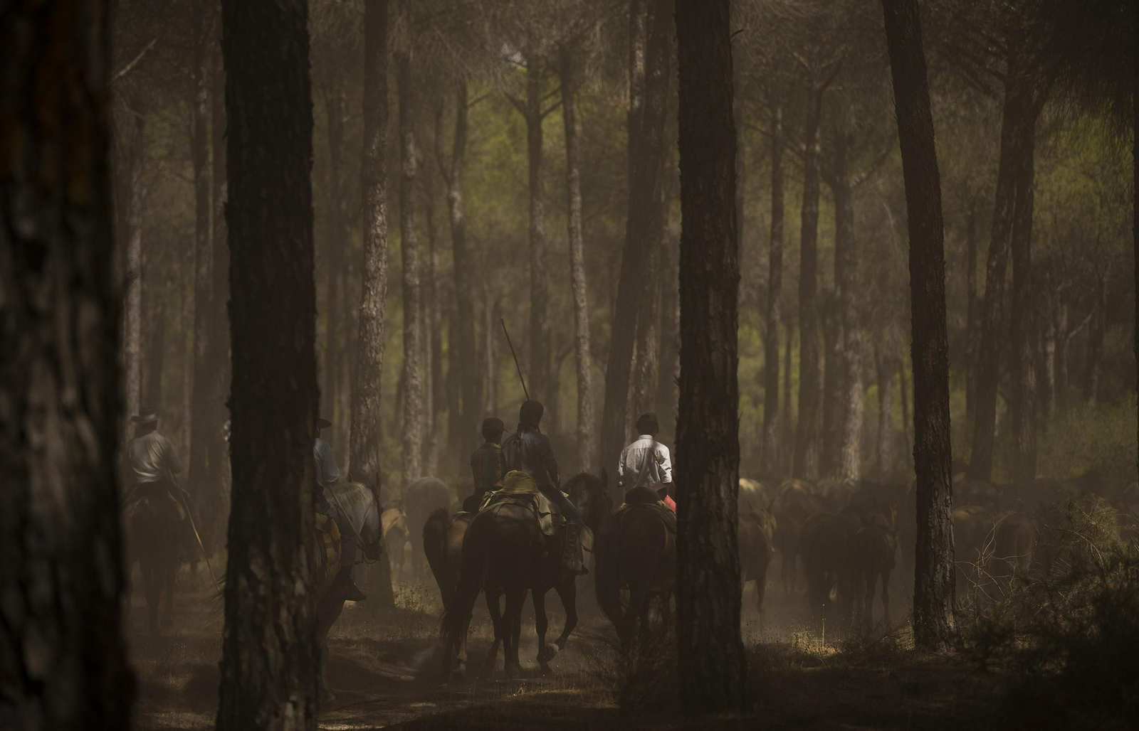 La Saca de las Yeguas, en imágenes