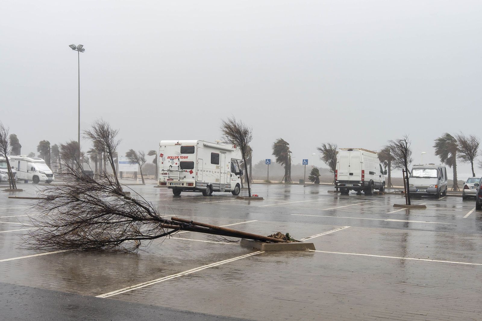 Fuerte viento en Almería capital hace unos días.