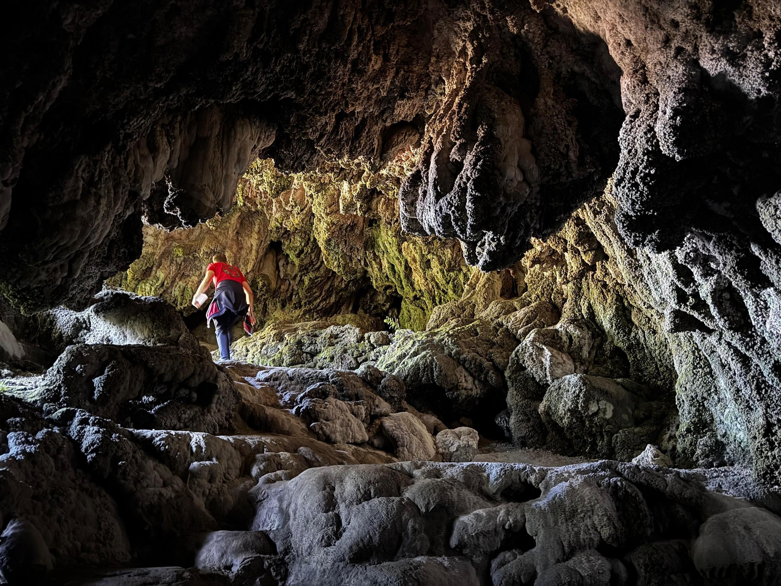 Una persona accediendo a una de las cuevas del jardín vertical