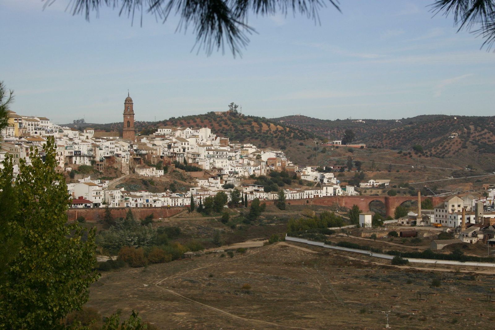 Meandro del Guadalquivir en Montoro, uno de los enclaves para amadrinar.