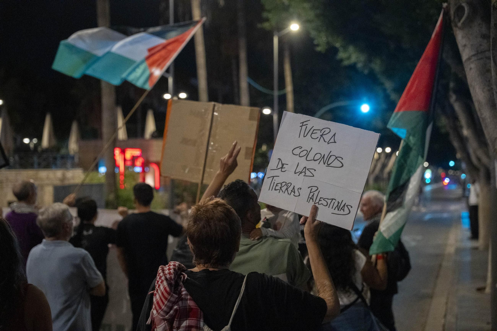 La Plataforma Almería por Palestina se manifiesta por la situación en Gaza, en imágenes