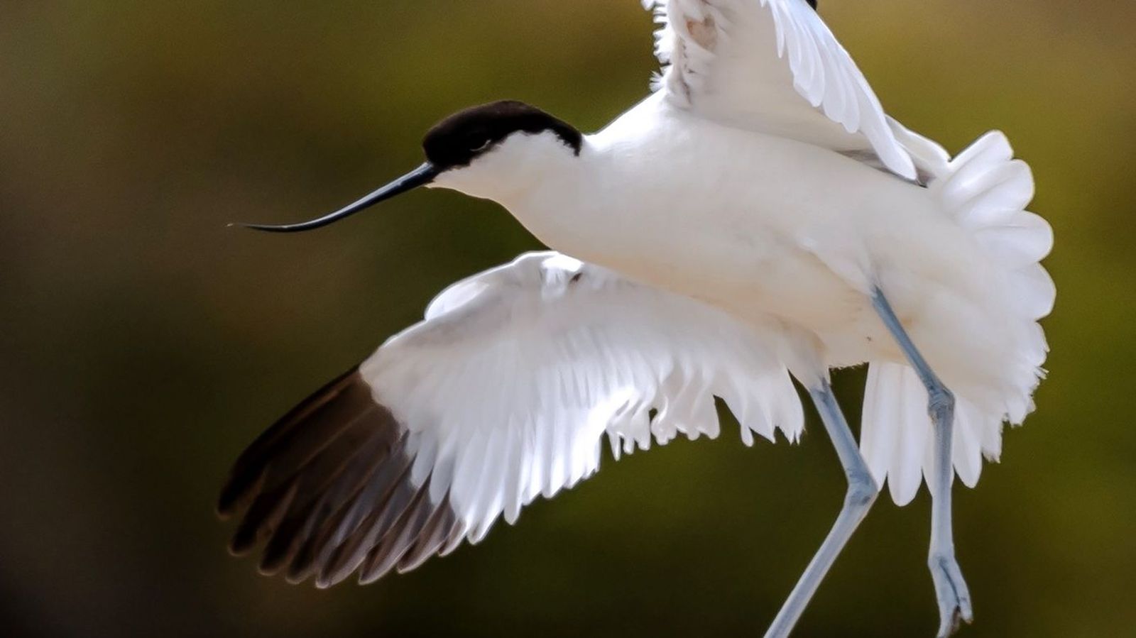 Una imagen del cartel que anuncia la exposición