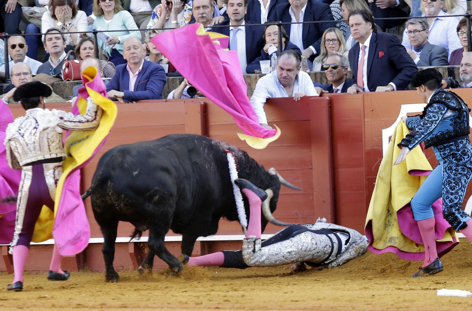 Miguel Abellán. / Juan Carlos Muñoz
