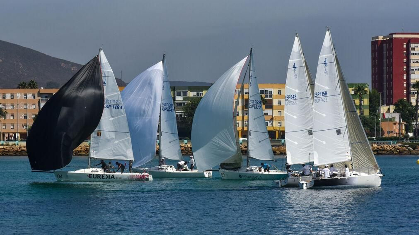 Una prueba de la regata de J/80 que se celebra en La Línea. Una prueba de la regata de J/80 que se celebra en La Línea.