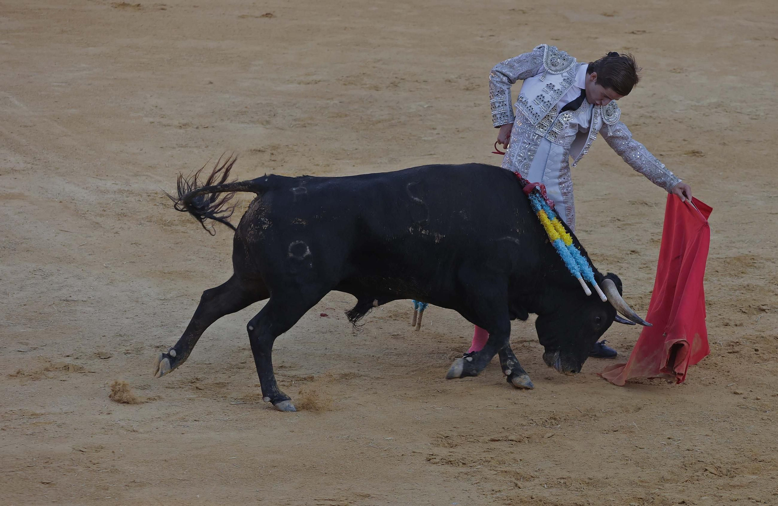 Fotos de la novillada sin picadores del miércoles de la Feria Real de Algeciras 2025