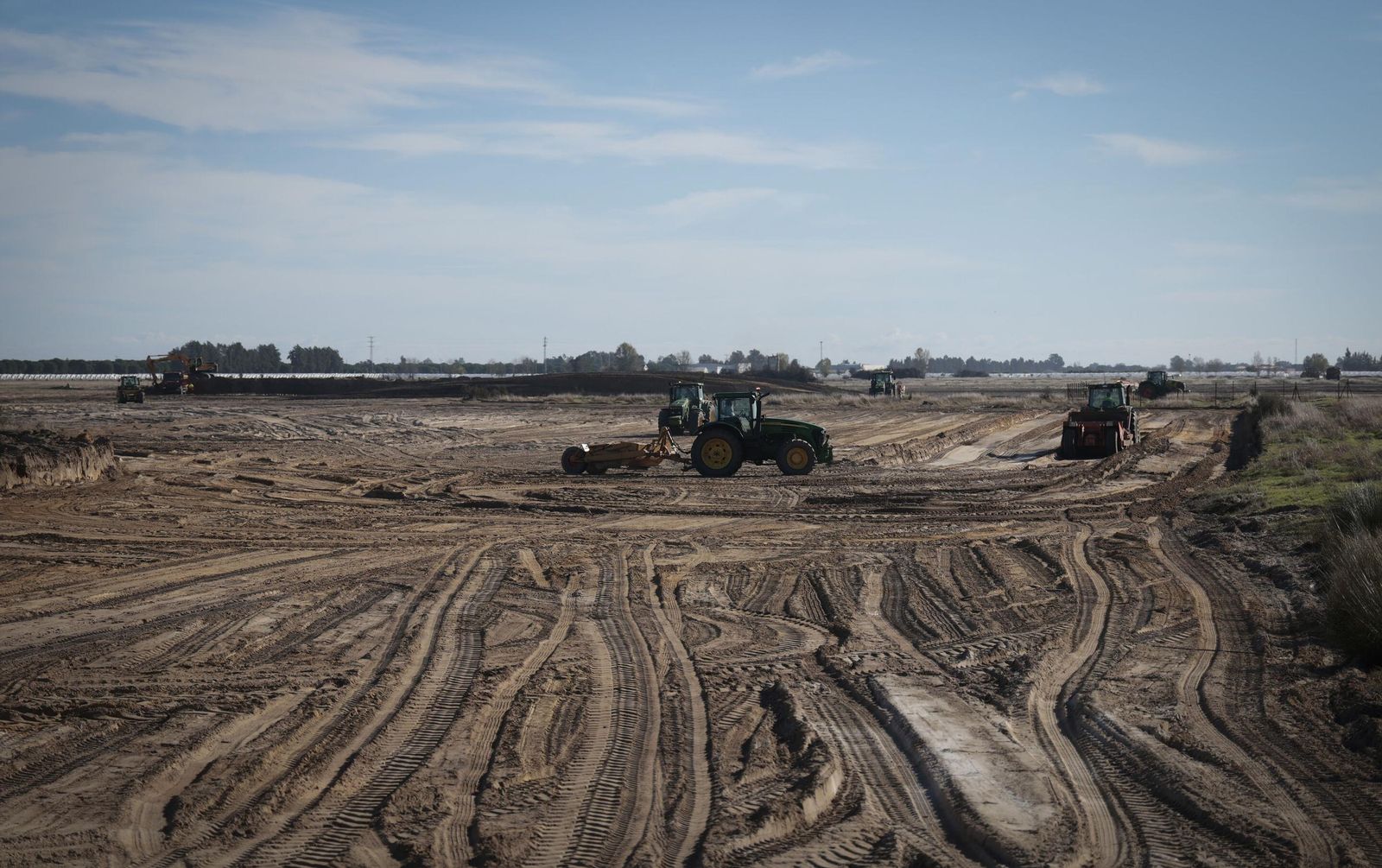La renaturalización de Los Mimbrales: imágenes de la transformación del espacio natural