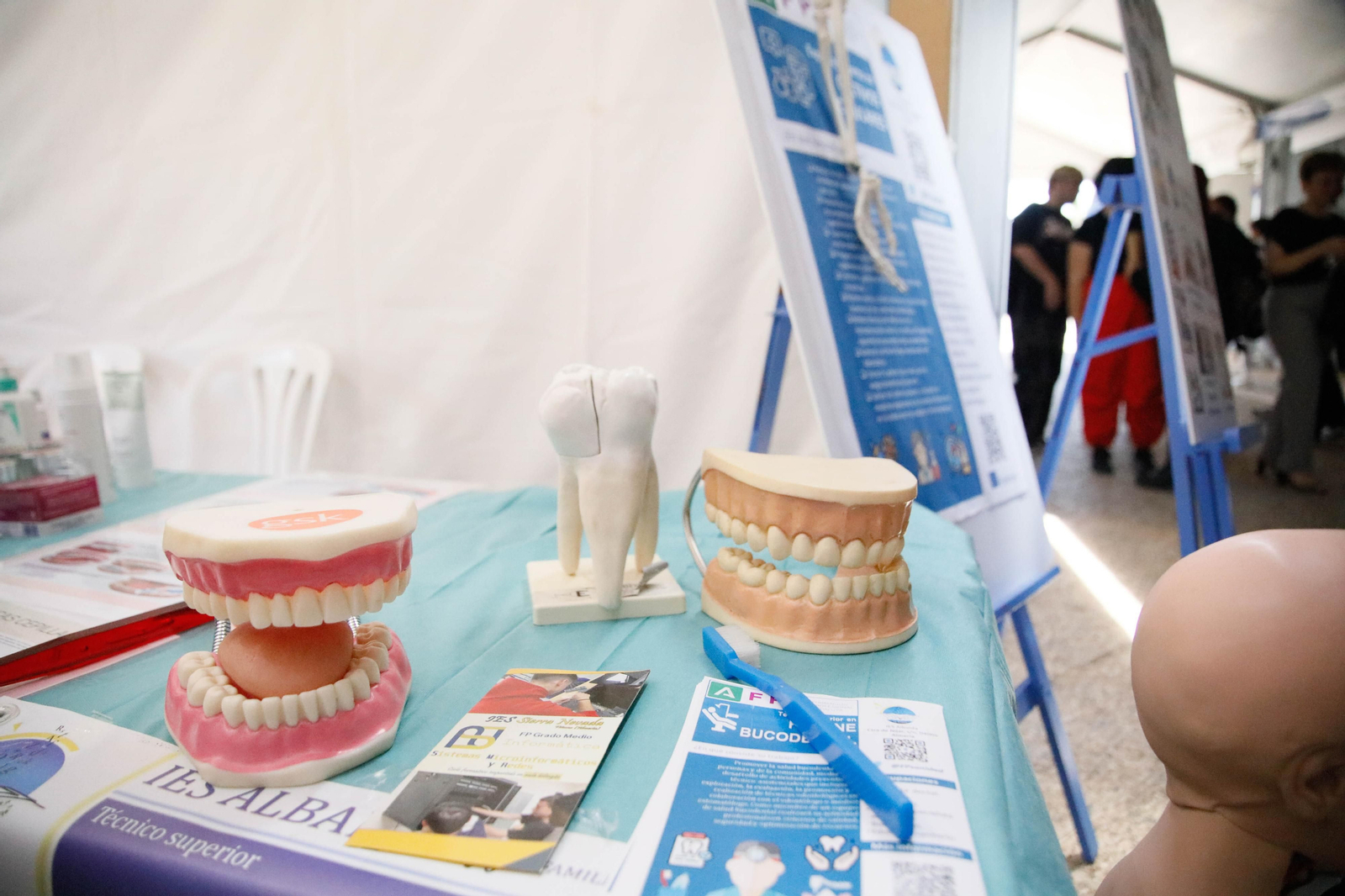 IV edición de la feria Aula de la UAl, en imágenes