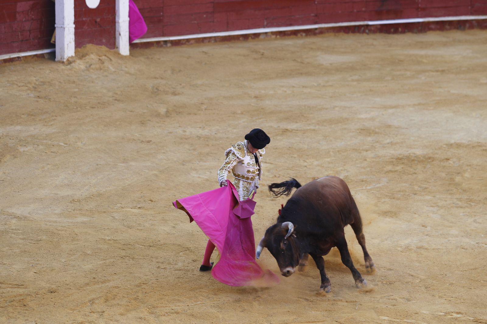 Fotogalería novillada Escuela Taurina de Almería. Feria de Almería 2019