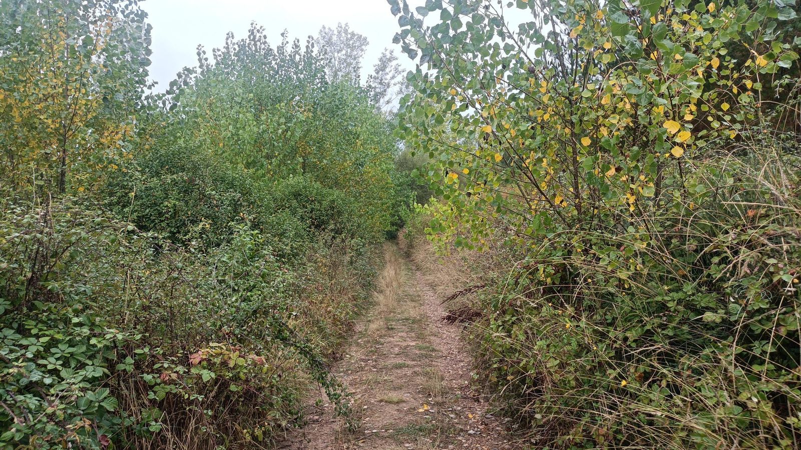 Al salir de Arlanza, avanzamos por unos carriles que separan parcelas dedicadas a frutales.