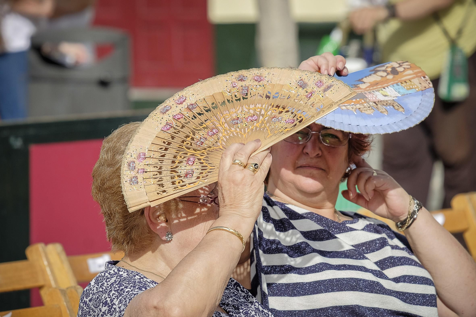 Las imágenes de la Magna Mariana
