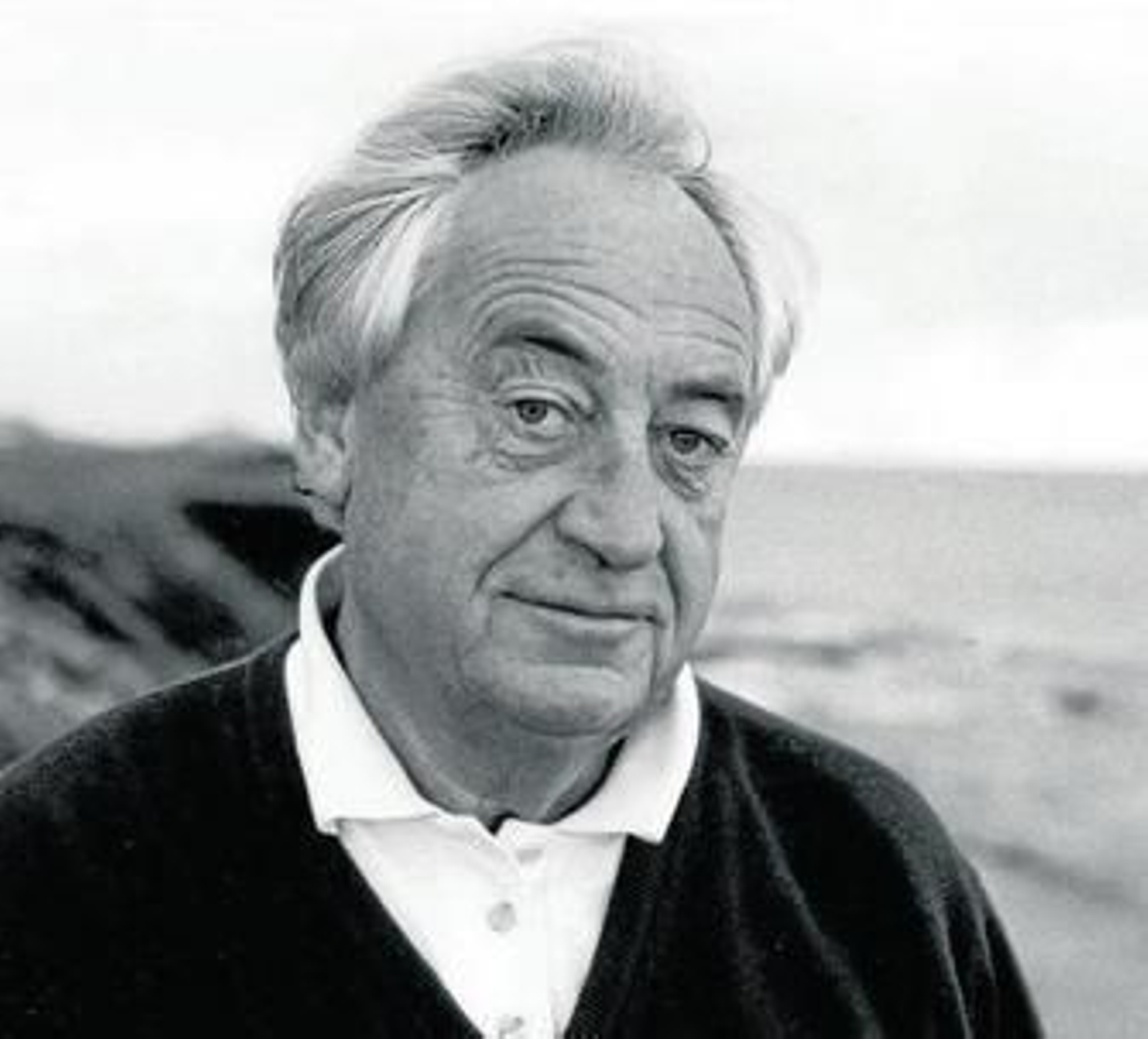 Retrato del narrador, poeta y ensayista holandés Cees Nooteboom (La Haya, 1933).