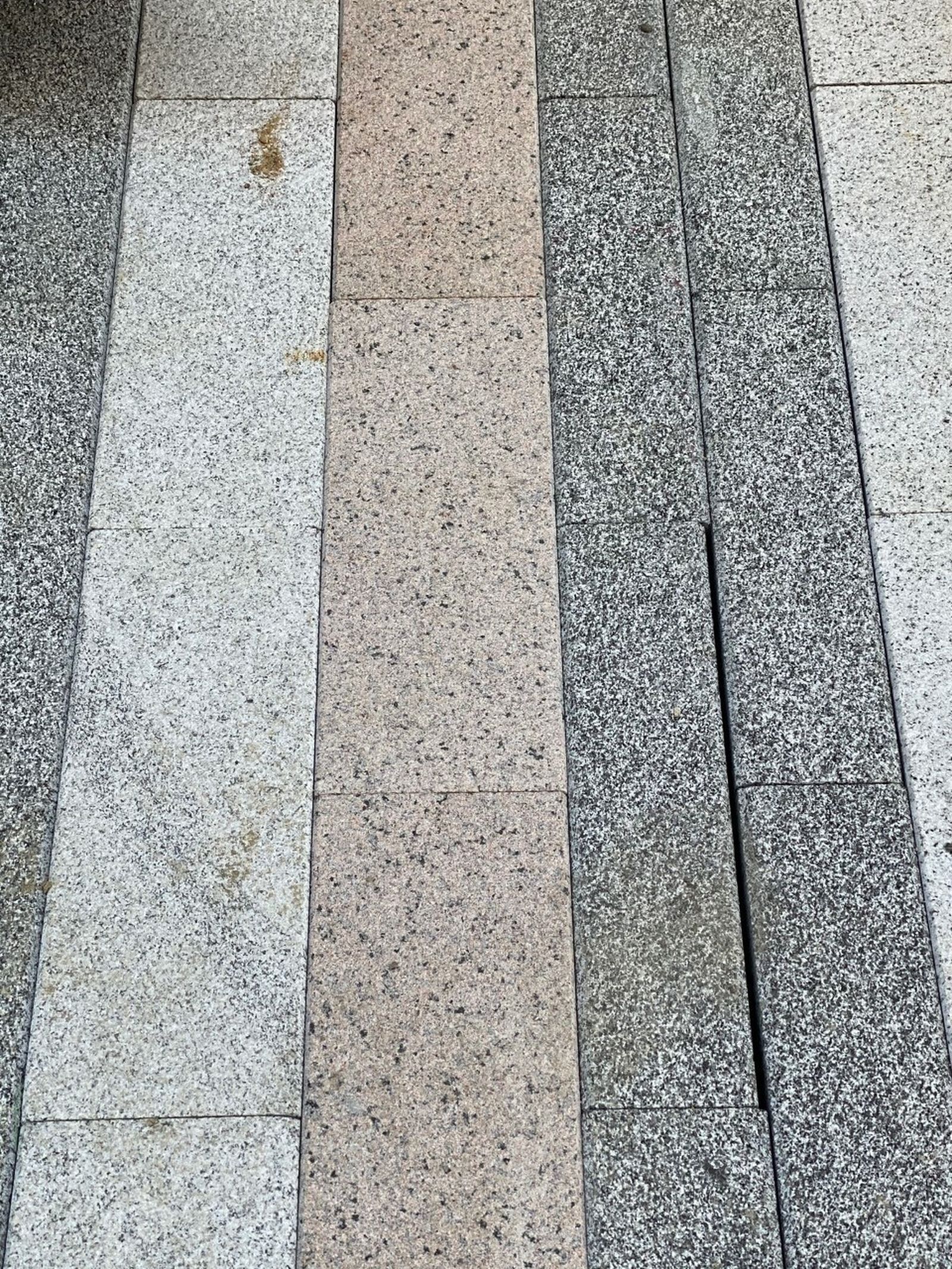 Detalle del colorido.