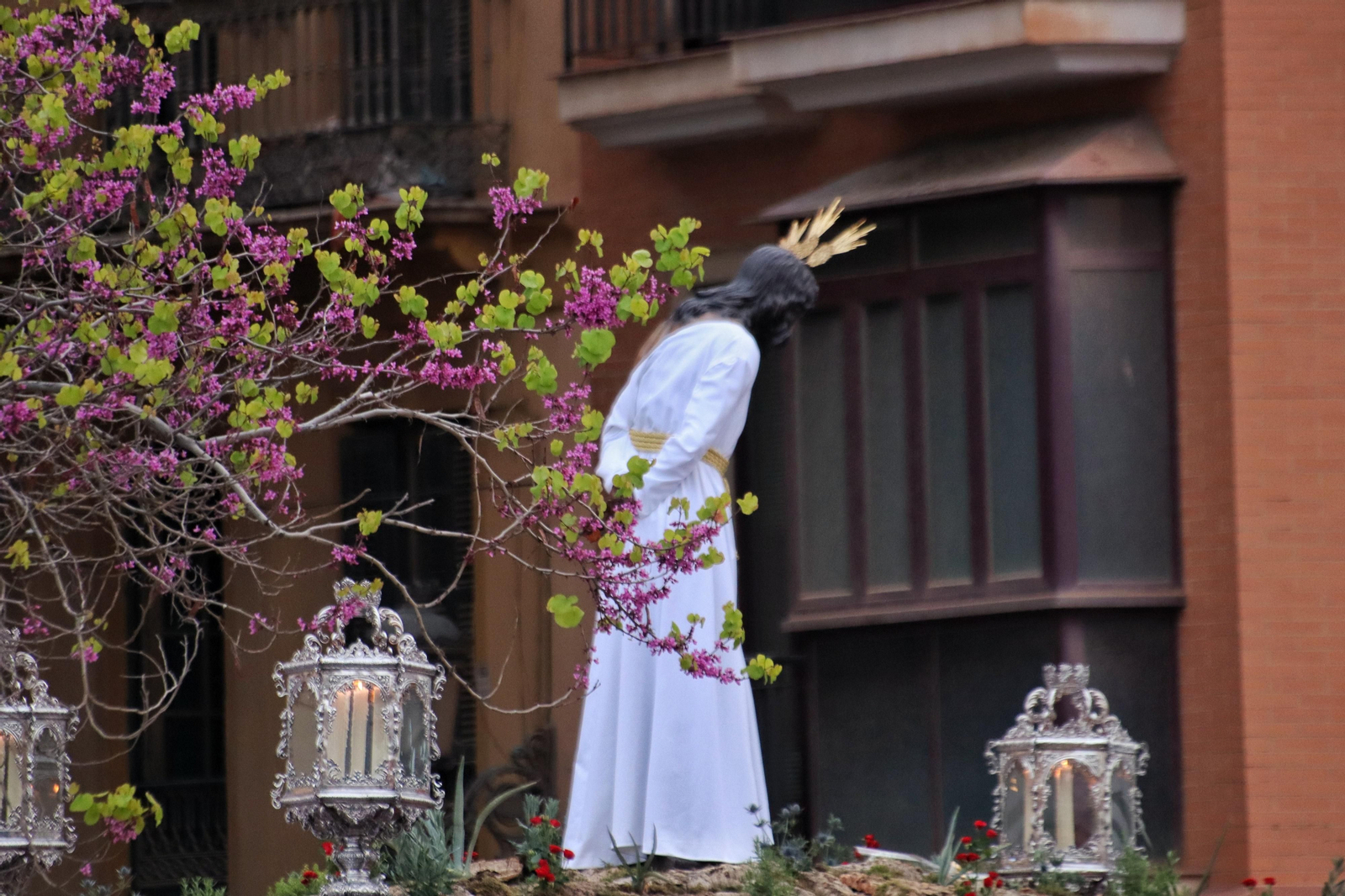 Las fotos de Humillación y Estrella, en el Martes Santo de Málaga