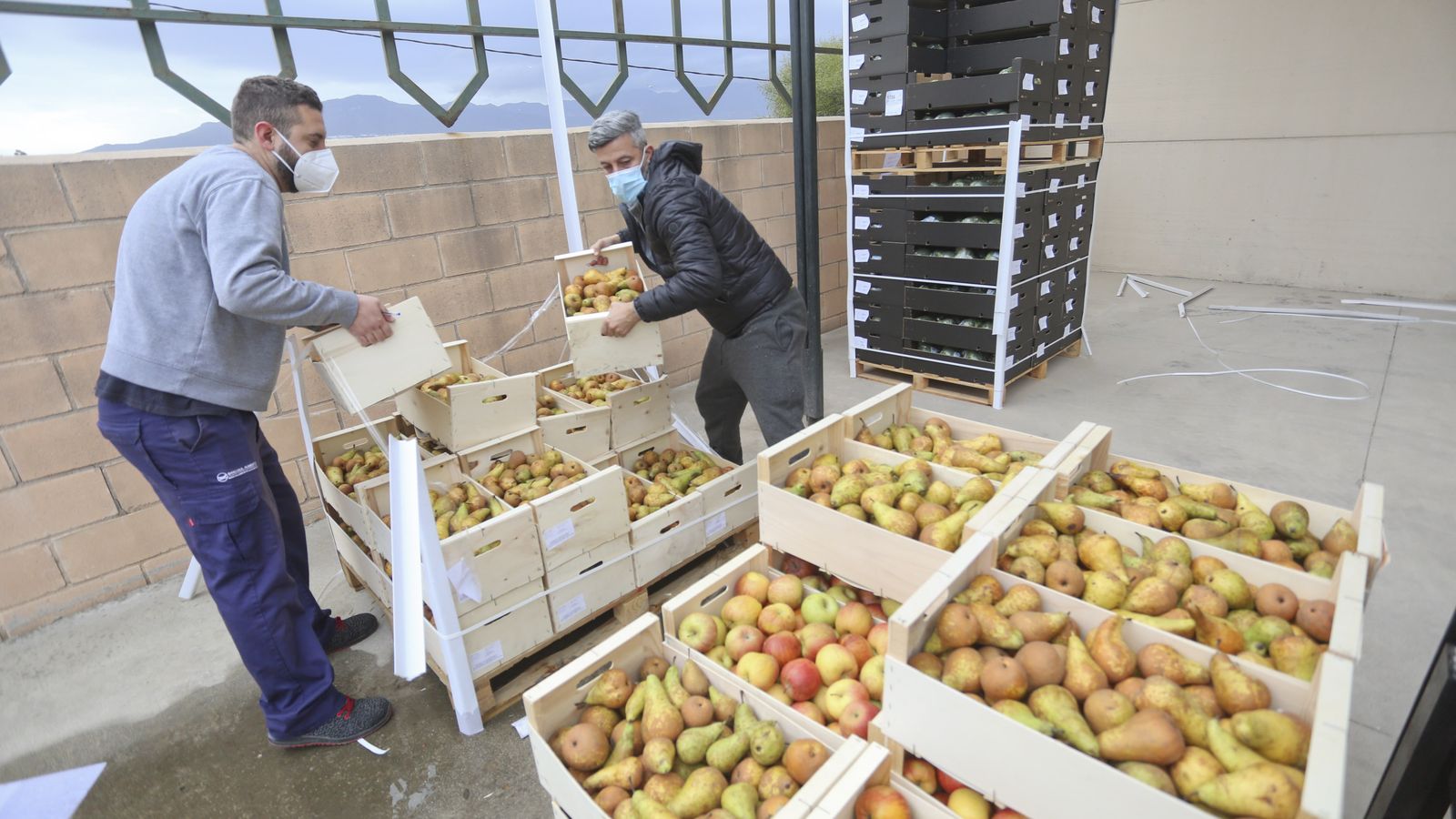 Recepción de donaciones de comida fresca en Bancosol