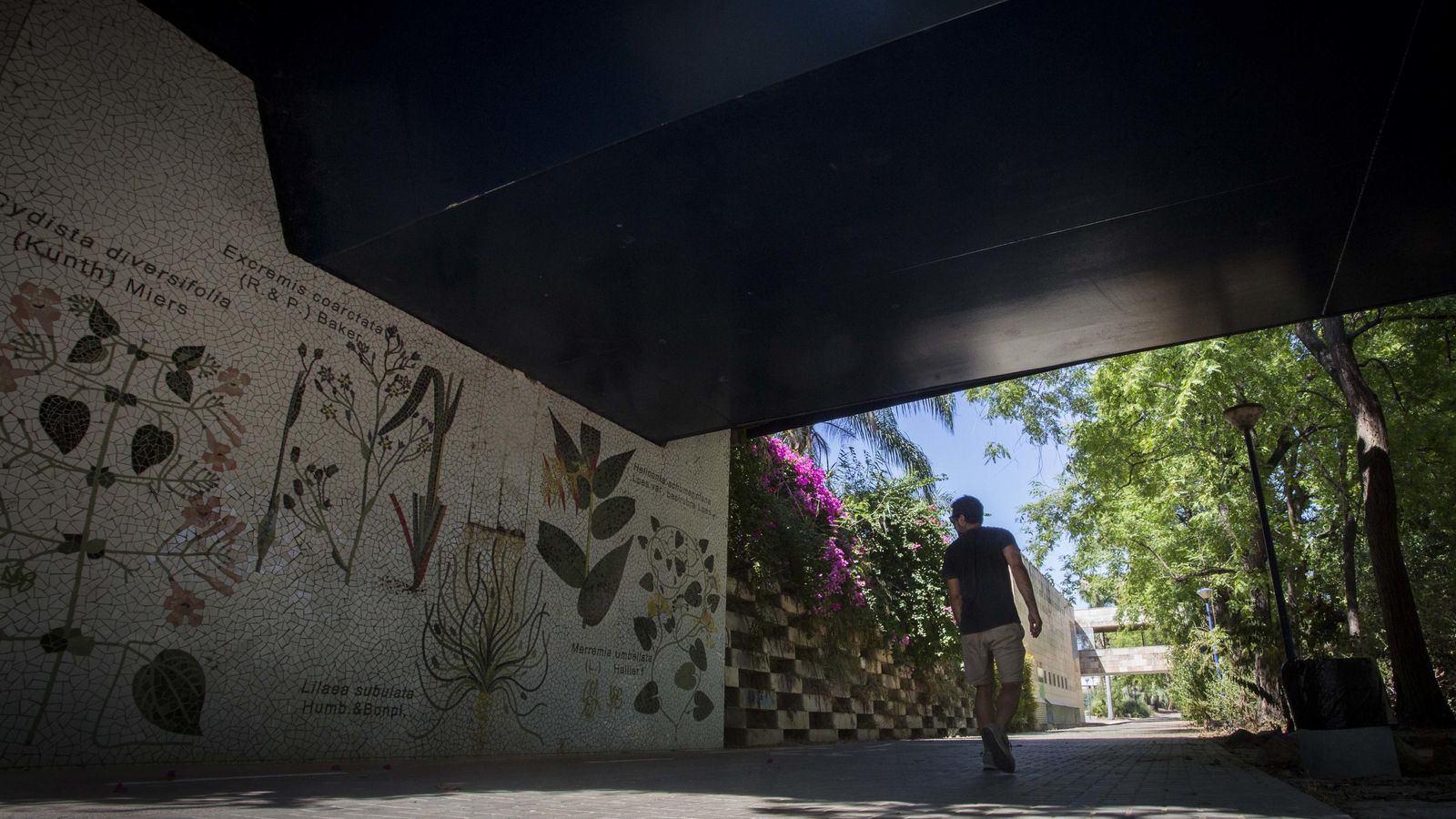 El Jardín Americano