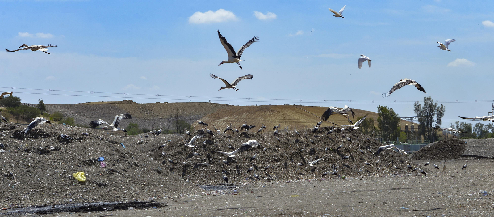 Instalaciones de la planta de tratamiento de residuos de MonteMarta Cónica