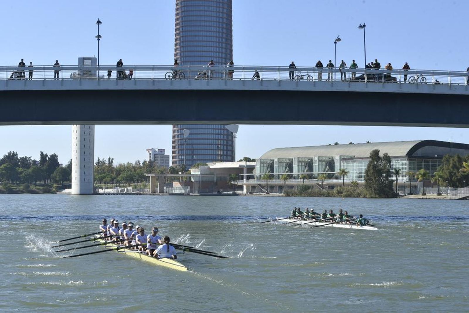 Las imágenes de la Regata Sevilla-Betis