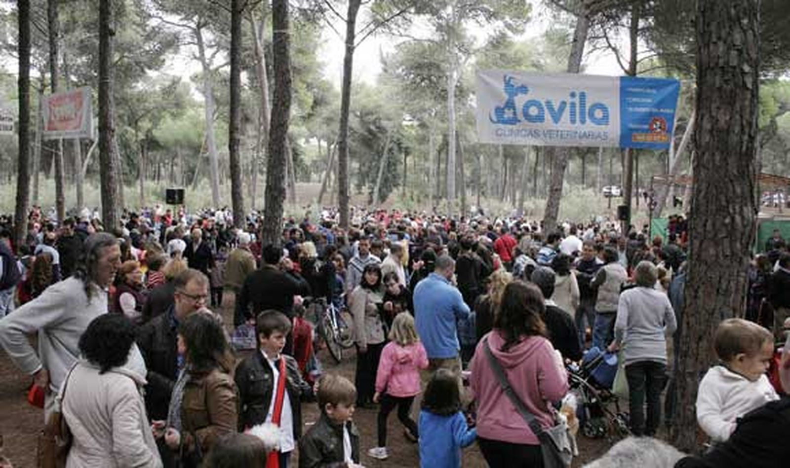 Imagen de la celebración del día de San Antón en el Puerto de Santa María

Foto: A.Mora