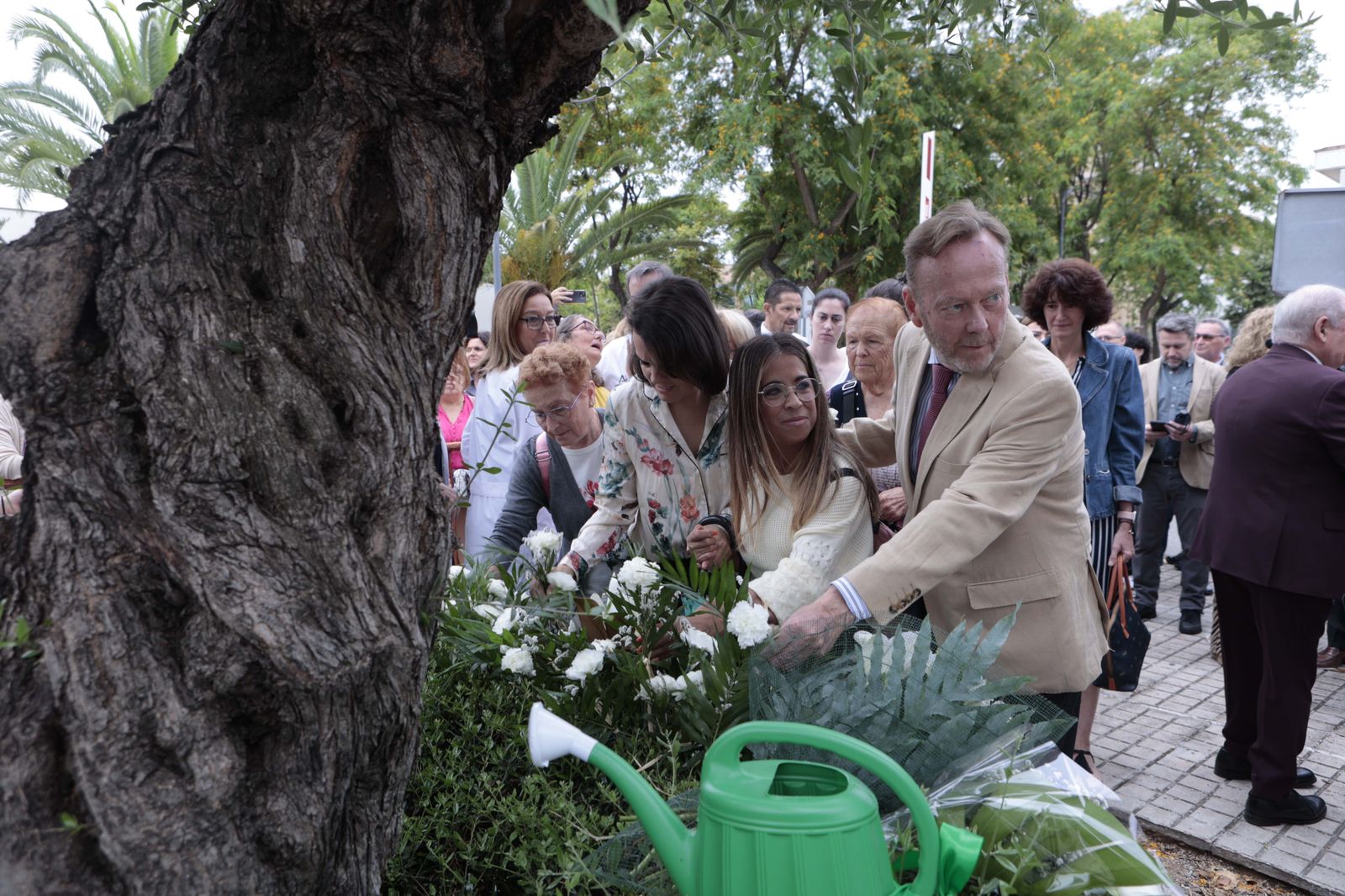 Día Nacional del Donante de órganos