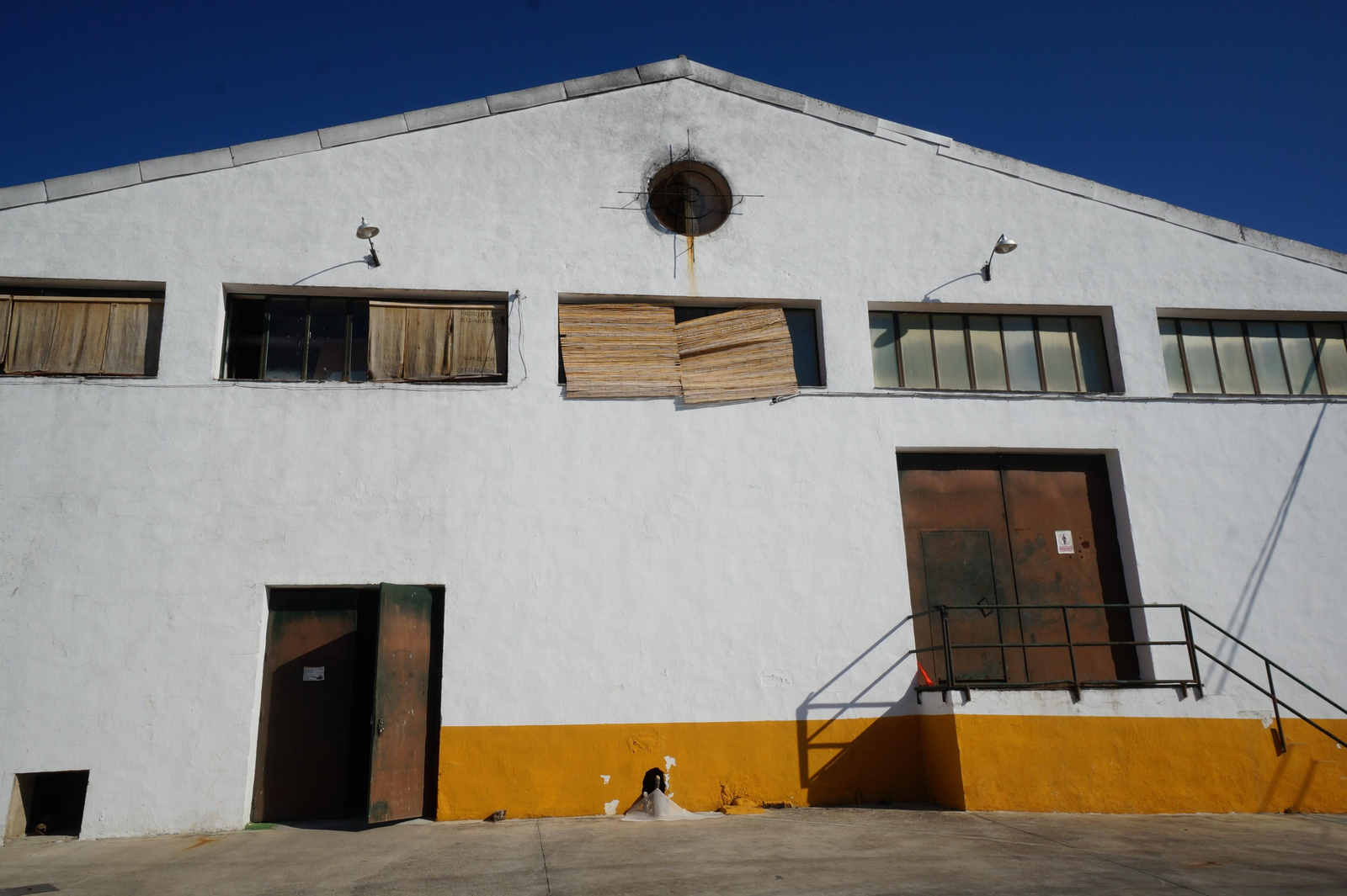 Un recorrido en fotografías por el vino nuevo de Moriles