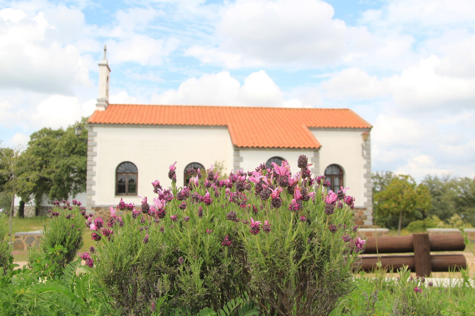Las fotografías de la primavera en Los Pedroches
