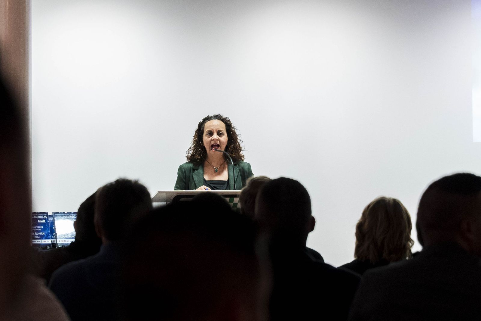 Galardones de los Campeonatos Provinciales de Automovilismo "Trofeos Diputación de Almería", en imágenes