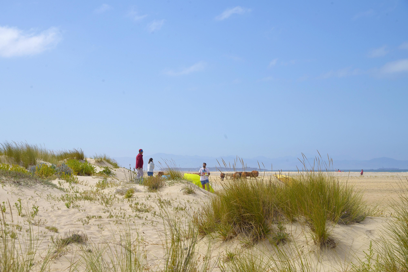 Fotos de las playas de Tarifa en el fin e semana