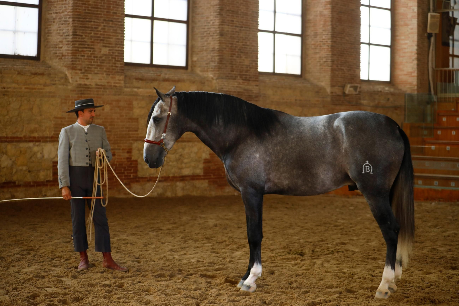 Cabalcor Cabalcor
