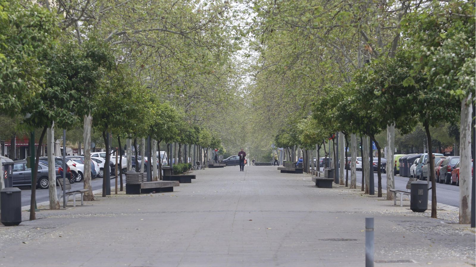 Avenida Gran Vía Parque.
