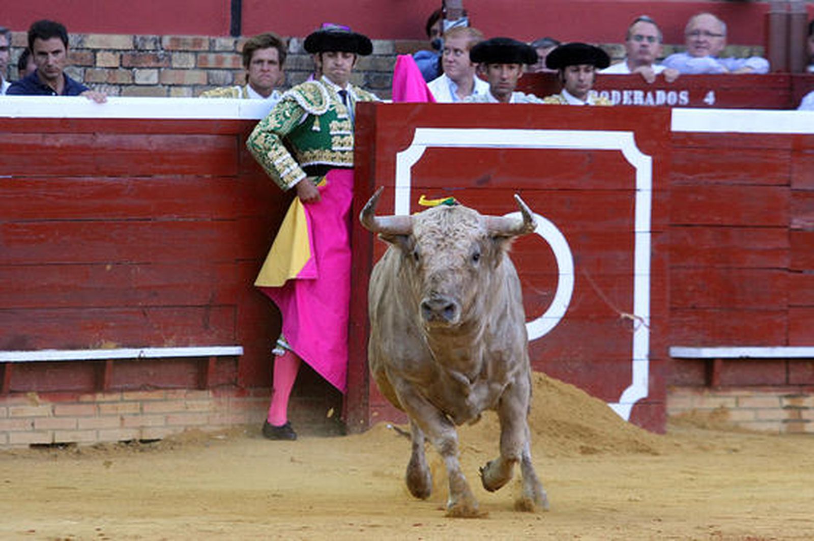 Foto: Alberto Domínguez